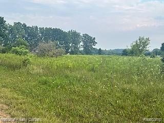 00 Stow Rd, Conway Township, MI 48892 - photo 4