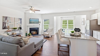 238 Artist Ave, Johnson City, TN 37615 - photo 4