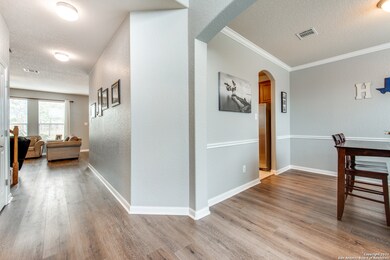 25803 Santolina, San Antonio, TX 78261 - photo 4