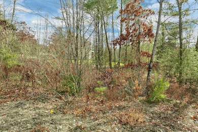 7 Lady Slipper Ln, Moultonborough, NH 03254 - photo 4