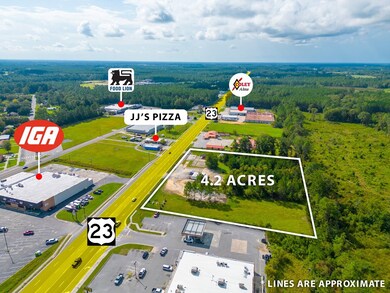 000 S US Hwy 1, Alma, GA 31510 - photo 4