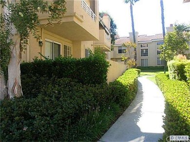 Large  ground level patio