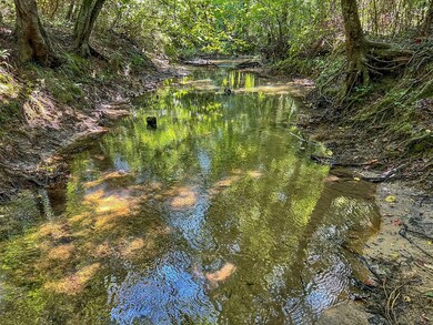 04 Adams Rd, Ashford, AL 36312 - photo 5