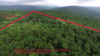 10873 N Devils Den Rd, Winslow, AR 72959 - photo 3