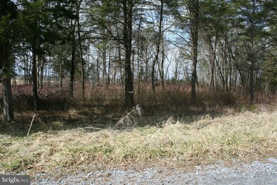 LOT: 1 Queenship Ln, Berryville, VA 22611 - photo 6