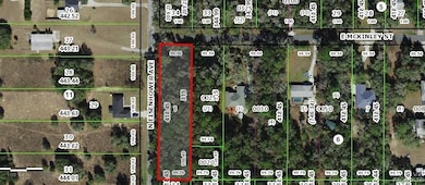 1012 & 1030 E Mckinley St, Hernando, FL 34442 - photo 5