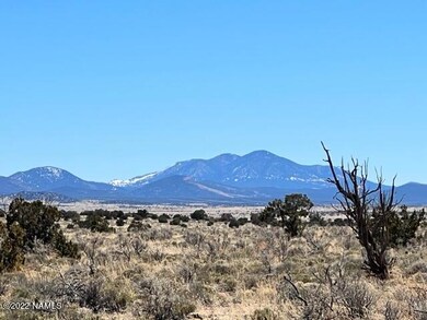 IMG_2229