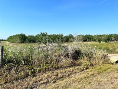 13404 Buls Rd, East Bernard, TX 77435 - photo 5