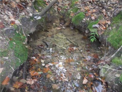 0 Mill Hollow unit RTC1494566, Linden, TN 37096 - photo 5