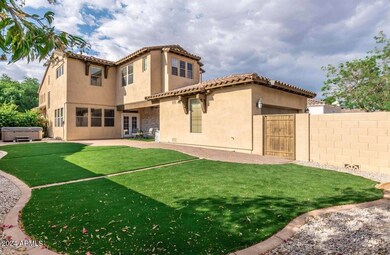 gorgeous back yard