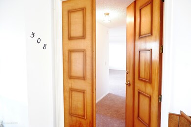 Pretty wide entry door