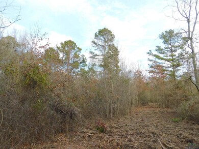 View of local wilderness