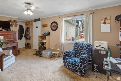 Sitting room with a textured ceiling, carpet, ceiling fan, and ornamental molding
