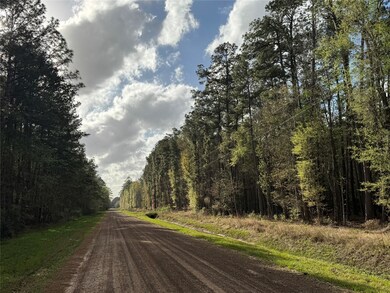 0 County Road 2317 unit 78772077, Dayton, TX 77535 - photo 6