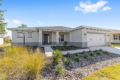 10002 SW 106th Cir, On Top of the World, FL 34481 - photo 5