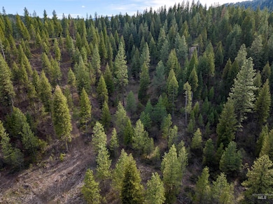 Lot 17 Trail Creek Ct, Placerville, ID 83666 - photo 5