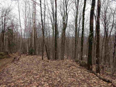 1039 Arcadia Ln, Westmore, VT 05860 - photo 4