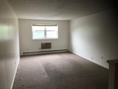 349 Hildreth St unit 22, Lowell, MA 01850 - photo 3