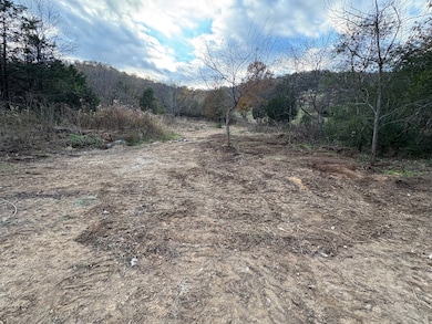 125 Lock 7 Ln, Carthage, TN 37030 - photo 3