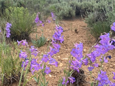 0 Decagon Loop Parcel 12 unit REC7569973, Twin Lakes, CO 81251 - photo 4