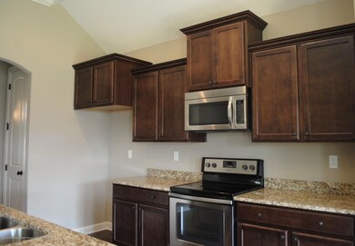 Stainless Appliances