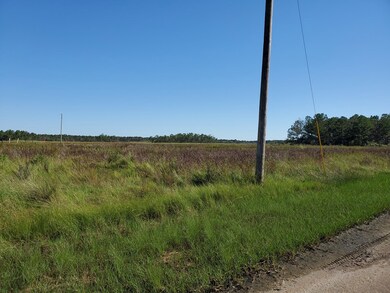 0 St Ann Dr unit 177088, Bay Saint Louis, MS 39520 - photo 6