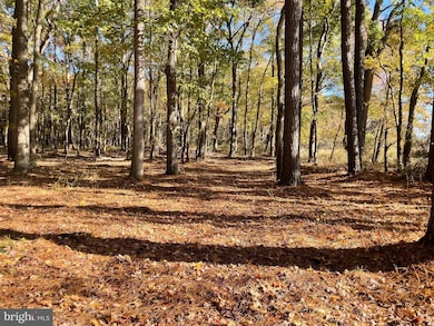 5051 Wayman Rd, Marion Station, MD 21838 - photo 3