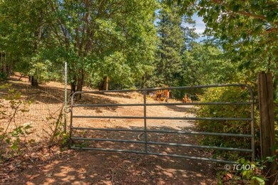 171 Connor Creek, Junction City, CA 96048 - photo 5