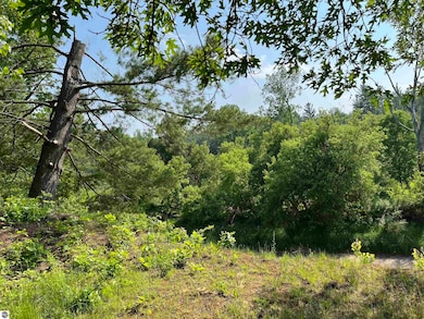 NKA Pinnacle Dr unit 94, Deep River Township, MI 48749 - photo 4