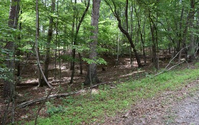 Additional View