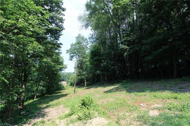 19471 County Road 6, Coshocton, OH 43812 - photo 6