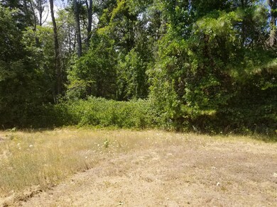 345 Earhart Rd, Rogue River, OR 97537 - photo 5