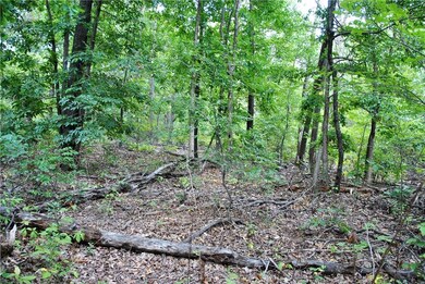 View of clearing on lot as you walk in the center facing the back of lot.