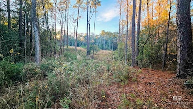 7418 Bromley Rd unit 1, Bay Minette, AL 36507 - photo 3