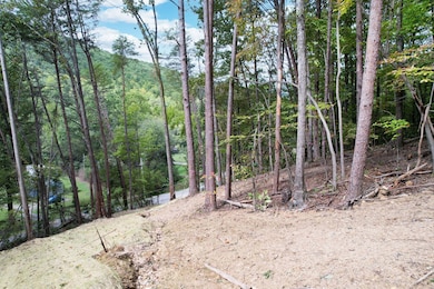 6-web-or-mls-DJI_0641