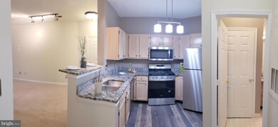 4408 Helmsford Ln unit 104, Fairfax, VA 22033 - photo 4