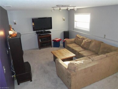 Lower Level Family room