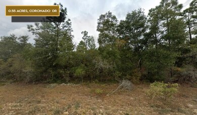 0 Coronado Dr unit 25533796, Chipley, FL 32428 - photo 3