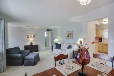 10207-West-Sun-City-Boulevard-16