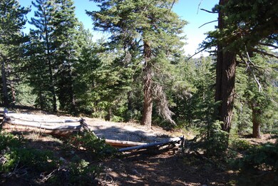 130 S Solitude Trail, Duck Creek Village, UT 84762 - photo 2