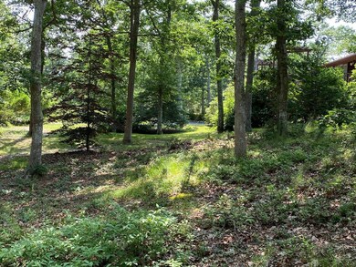 side yard