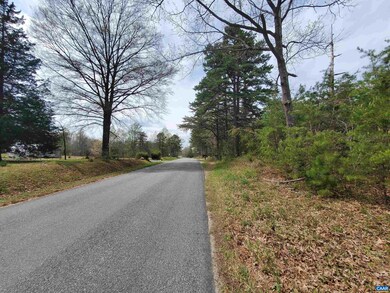 1000 W Old Mountain Rd, Louisa, VA 23093 - photo 6