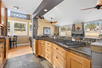 1819 Nova Rd unit 4, Pine, CO 80470 - photo 7