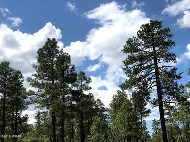 1 Woolford Rd, Show Low, AZ 85901 - photo 6