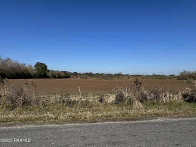 290 Cottage Ln, Church Point, LA 70525 - photo 6