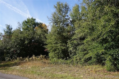 1399 E Ridgefield Dr, Hernando, FL 34442 - photo 2