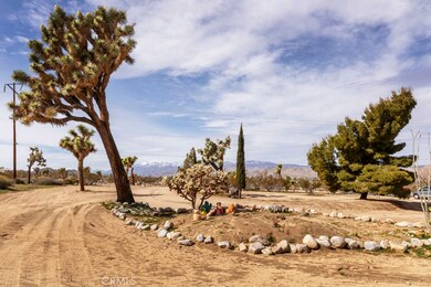 7637 La Contenta Rd, Joshua Tree, CA 92252 - photo 5