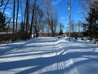 11490 Alpine Rd unit 43, Canadian Lakes, MI 49346 - photo 6