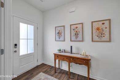 6365 Night Time Dr, Knoxville, TN 37931 - photo 3