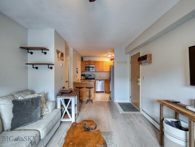 Living/Kitchen Area